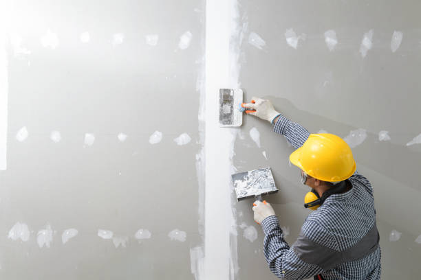 Best Mold-Related Health Consultation  in Eastmont, WA