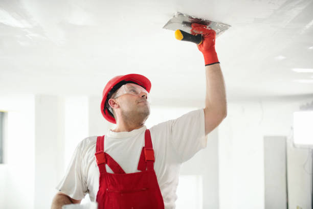 Best Mold Removal for HVAC Installations  in Eastmont, WA