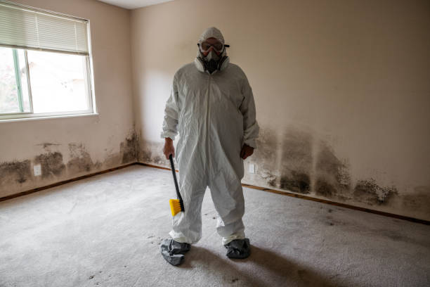 Best Biohazard Mold Removal  in Eastmont, WA